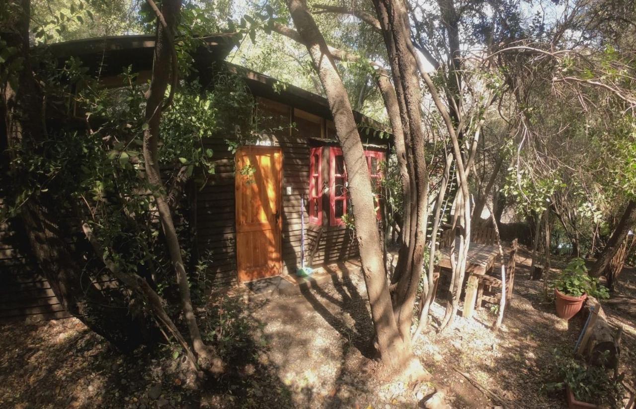Cabanas Piedra Luna San Alfonso Exteriör bild